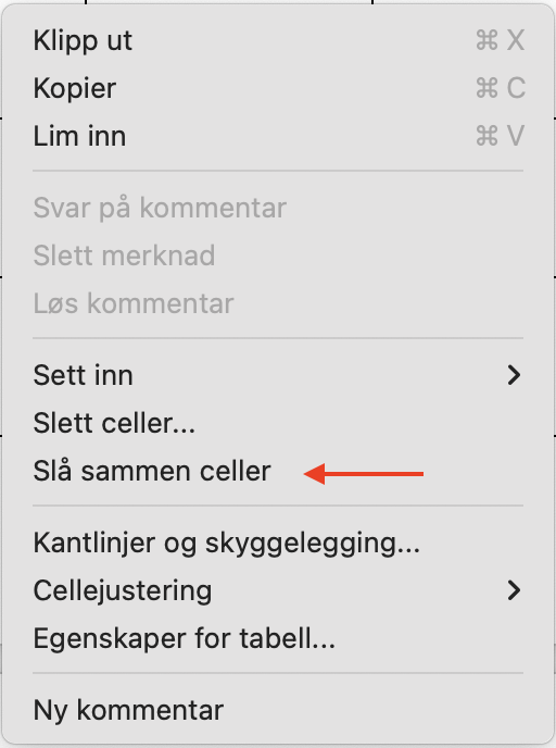 Skjermbilde 2025-06-13 kl. 11.40.23.png