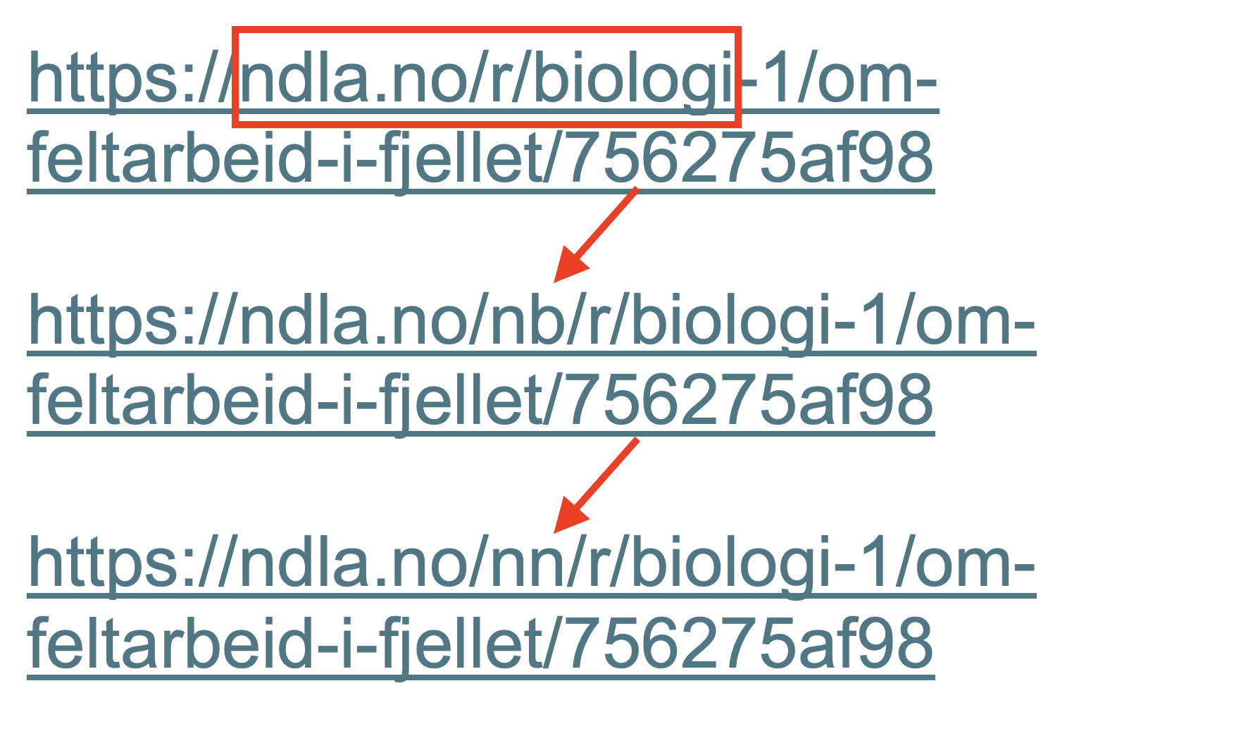 Skjermbilde 2025-06-13 kl. 13.17.33.png